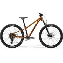 Bicicleta Copii MERIDA Matts J.Champion - Wild Honey