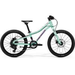Bicicleta Copii MERIDA Matts J.20+ Uni - Matt Mint