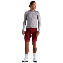 Tricou Ciclism SPECIALIZED Men's SL Air Solid (L/S) - Silver