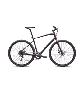 Bicicleta SPECIALIZED Sirrus X 1.0 - Gloss Solidity Metallic